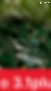 Cụm bo mạch sạc nokia 3.1plus zin lkthay thế cụm sạc nokia 3.1 plus hàng chuẩn giá tốt