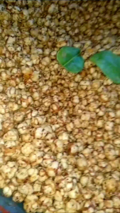 Tiktak Cikur Pedass Gurih dan Renyah 1kg