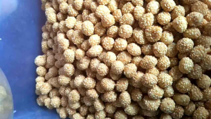 Kuih Rotan Kuih Bijan Rangup (500g) - Crunchy Snack - Digestive Biscuits - Garden Scene
