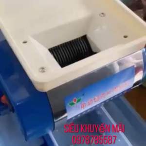 Máy Cắt Thịt Bò Tươi Sống RS-70D (35 mm)