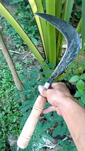 Sabit Isi Wojo Khas Pande Jawa - Arit Rumput Murni Asli Baja Tajam - Celurit Madura 01 Murah Super Ramping Model Bulu Ayam