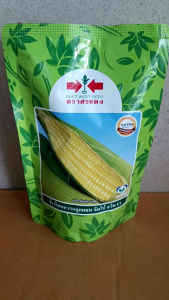 ข้าวโพดหวานลูกผสม จัมโบ้สวีท F1