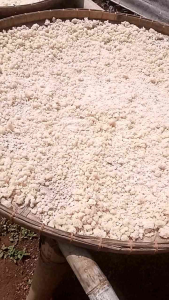 2kg Oyek singkong Tiwul instan mentah Rendah Gula diabtes Asli Organik