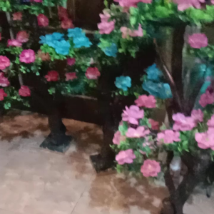 bunga sudut cakar semanggi oxilia artificial premium8 cabang