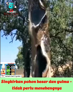 Terlaris: Beli 3 Gratis 1 Botol New Red Magic Pembasmi Gulma Herbicides - Pesticides Biologis