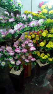 Bunga sudut ruangan tinggi 130cm.