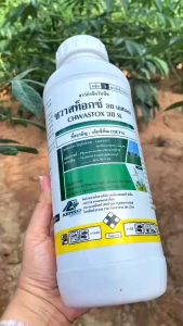 ชวาสท็อก30SL (ขนาด1ลิตร)มือปราบหญ้าแห้งหมูสูตรไม่มีกลิ่น สามารถใช้ได้ทั้งอ้อยมันสำปะหลังข้าว ชนิดดูดซึม กำจัดวัชพืชประเภทกก เช่น กกขนาก กกทราย แห้วหมู หนวดปลาดุก