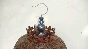 Sangkar Perkutut Mataraman: Desain Unik & Tahan Lama