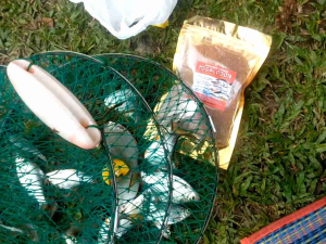 UMPAN DEDAK MEGALODON