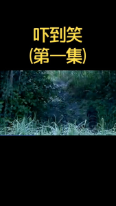 02 新马两地中文电影马来西亚电影/新加坡电影带岀风土人情/搞笑情怀 NASI LEMAK/一路有你/吓到笑/钱不够用/阿炳/等等【共71部】马来西亚🇲🇾发货 USB3.0 MP4 64GB