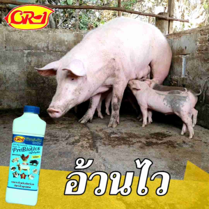 CR-1 (ซีอาร์-วัน) ไคโตสาเนียม สำหรับสัตว์เลี้ยง กินเก่ง อ้วนไว ขนาด 1000 ซีซี (1ลิตร) จำนวน 1 ขวด