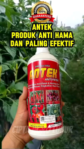 Pupuk Antek Anti Patek dan keriting daun 1 Liter BELI 3 FREE 1 TERAMPUH