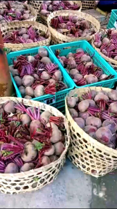Buah Bit | Beetroot fresh 2kg - langsung dari kebun