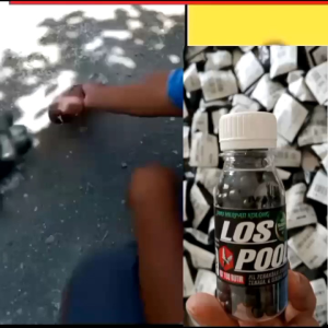 JAMU MERPATI GIRING KEKET LOSDOR POOL ISI 300 BITIR - Untuk merpati kolong dan balap pil EXTRA power