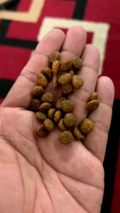 Proplan Adult Chicken/Salmon Kemasan 10Kg REPACK SORTIRAN PABRIK/ REJECT PABRI BENTUK KIBEL BEDA