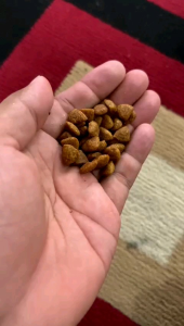 Equilibrio Adult hairball Repack 1kg ORIGINAL Kemasan Repack