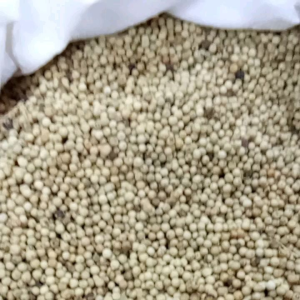 Lada Butir Putih Kualitas Super: Pelengkap Bumbu Masak