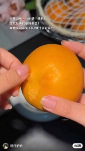 China Fresh Fruits Mango Peach Sweet& Juicy 中国新到黄桃芒果桃软糯多汁香甜