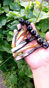 pipa cangklong tanduk kerbu model popay