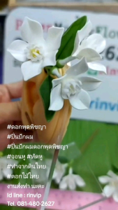 ดอกพุดพิชญา ช่อดอกพุดพิชญา ทำจากดินไทย ช่อละ  189 บ.