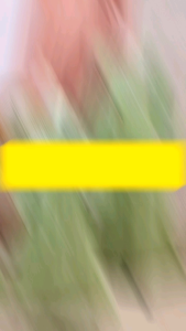 gamis anak brokat kupu kupu