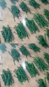 Sedia Entres kopi berbagai jenis klon