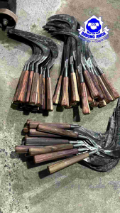 sabit rumput baja asli super tajam - sabit pengaritan - sabit isen baja - sabit ranting pohon