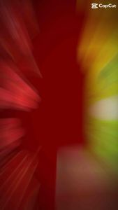 Nsx : T8/2025 Gạo St25 Ông Cua túi 5Kg - Hàng Chính Hãng Có Mã QR Check