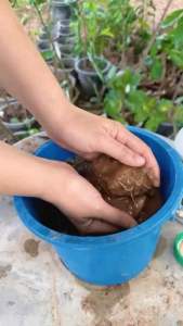 ไอ้เน่า5ขวด แก้ดินแน่น ดินแข็ง ไอเน่า สารปรับสภาพดิน ฟื้นฟูดิน แก้ดินเสีย เร่งการแตกราก ขนาด 500ML