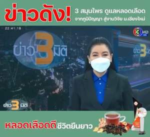 VFlow สารสกัด สมูญไพร ขิง พูทราจีน ธรรมชาติ 84 ซอง บำรุงหลอดเลือดให้แข็งแรง แพ็คเกจ