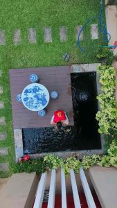 ชินชูกุปรับสภาพน้ำใส ชุด 2 แกลอน สูตร ปรับสภาพน้ำ จุลินทรีย์ไบโอติก