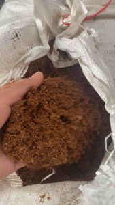 ขุยมะพร้าวแกงละเอียด ส่งฟรี ขายทั้งกระสอบ ราคาโรงงาน