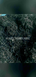 Akar Pakis Cacah Hitam Kualitas Terbaik Siap Pakai 1kg