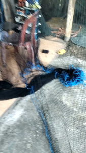 อวนดำพร้อมเชือก ราคา Early Bird