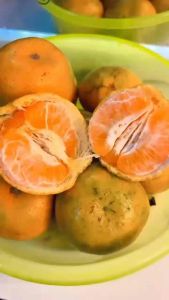 Jeruk siam madu/ jeruk siem/ jeruk keprok 1 kg