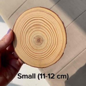 Unfinished Natural Wood Slices Pine Wood Round Tree Bark Log Disc Coaster Vase Craft Rustic Wedding