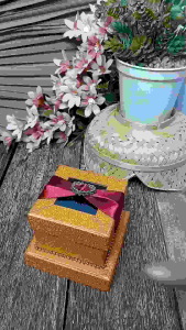 Kotak Box Perhiasan Cincin Lucu untuk Tunangan Lamaran dan Pernikahan - BC1