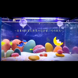 VIRAL HIASAN AQUARIUM