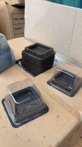 Mika Mochi Ichigo: Kenikmatan Tradisional Dalam 25PCS