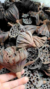 1kg Búp Sen - phơi khô