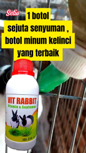 Vitamin Kelinci & Suplemen: Pilihan Terbaik untuk Kesehatan