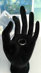 Original Silver Ladies Dolphin Ring New Era Collection