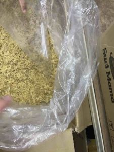 [200G] Dried Shrimp Skin | 鲜香 虾皮 | 樱花虾