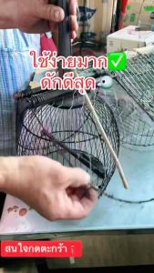 เพนียดดักนก สวยมาก ทนทาน ต่อนกหลายชนิด