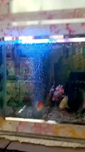 Meja Multifungsi: Meja Aquarium, Dapur, Dispenser, Mejikom, dan Belajar