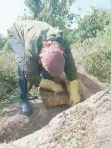 05lit mật ong đá rừng nguyên chất Tây nguyên