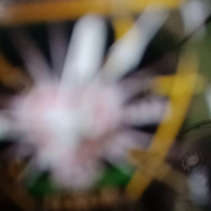 JAM TANGAN CUSTOM LOGO PSHT RUBBER STRAP BISA REQUES GAMBAR DISAIN SENDIRI BONUS BATERAI CADANGAN