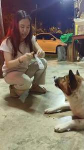 ขนมสุนัข บิสกิตสุนัข โฮมเมดมีรสให้เลือก ขนาด45กรัม