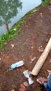 ESEN PANCING NILA JAER LUMUT PELET AMPUH GACOR VERON FISHING STRIKE IKAN LOMBA HARIAN SUNGAI DANAU BENDUNGAN RAWA