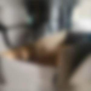 ที่นั่งสัตว์เลี้ยง130×55 cmเต็มเบาะหลัง